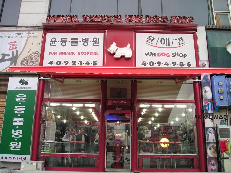 안산 윤동물병원